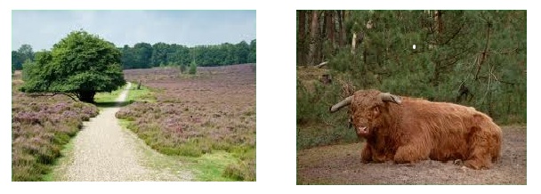 WandelSportVereniging Eerbeek
